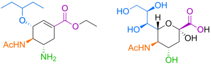 Estructura química del antiviral Tamiflu (izquierda), utilizado contra el virus de la gripe, y el ácido siálico, un azúcar que forma parte del recubrimiento de glicanos de nuestras células (derecha).