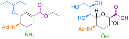 Estructura química del antiviral Tamiflu (izquierda), utilizado contra el virus de la gripe, y el ácido siálico, un azúcar que forma parte del recubrimiento de glicanos de nuestras células (derecha).