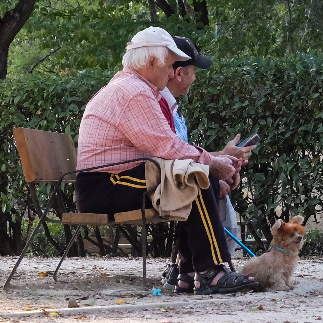 Jubilados en un parque de Madrid.