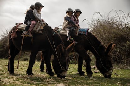 Dos pares de niños encima de sendos burros, durante una salida en invierno.