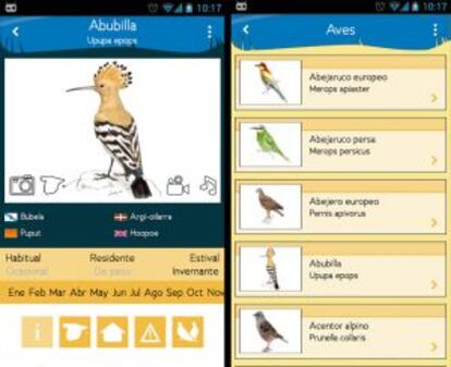 Pantallazo de la app ornitol&oacute;gica.
