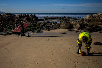 Un operario de Tragsa, contratados por la Xunta de Galicia, limpia el arenal de A Lanzada (Sanxenxo), este jueves.
