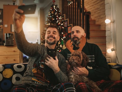 Perros y gatos en Navidad