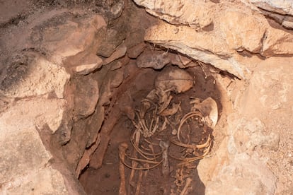 Recreación de un esqueleto en el interior de la Motilla del Azuer, en Daimiel (Ciudad Real).
