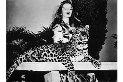 Bringing up Baby, conocida en España como La fiera de mi niña reunió a Katherine Hepburn, Cary Grant y a este leopardo traído de brasil y metáfora de la desaforada personalidad del personaje encarnado por Hepburn.