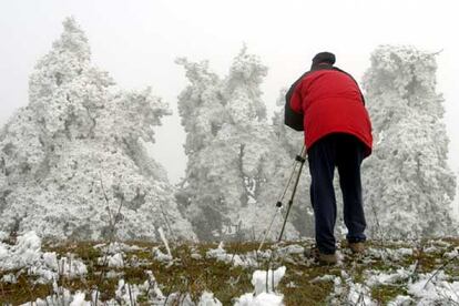 El fenómeno meteorológico muestra un paisaje muy similar al de una nevada.