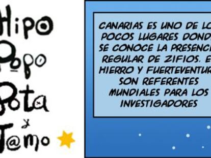 Ramón