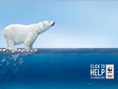 WWF