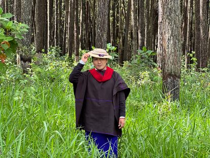 Taita Pedro Velasco en un bosque del Cauca (Colombia).