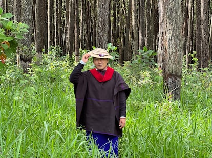 Taita Pedro Velasc en un bosque del Cauca, Colombia