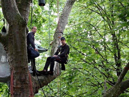 Thomas Brail (R), sentado en una rama de un árbol centenario en los jardines que bordean la Torre Eiffel como protesta contra el proyecto de renovación de los alrededores, en París, el 31 de mayo de 2022.