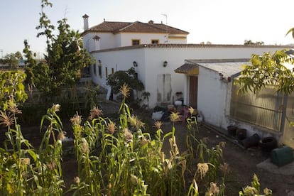 La finca La Caridad, de Juan Antonio Roca.