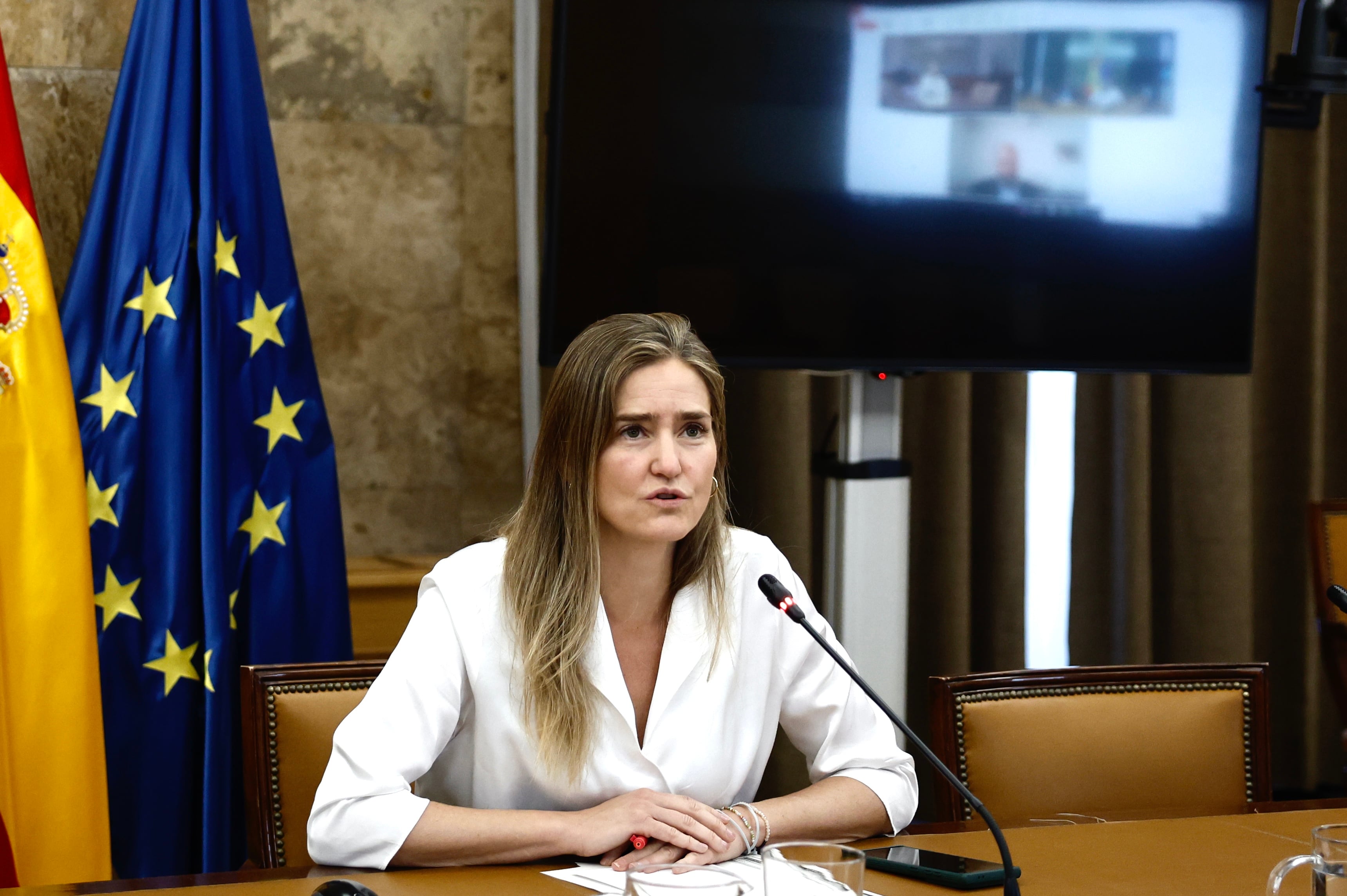 Spain and Portugal create a follow -up group to determine the causes of the blackout | Spain