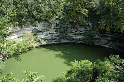 Sacred Cenote of Chichén Itzá (Mexico).