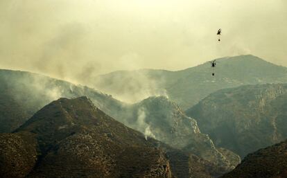 Continúa activo el incendio forestal de Llutxent (Valencia), que ha quemado más de mil hectáreas y ha obligado al desalojo de 2.500 personas. 