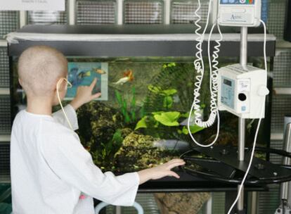 Un niño observa una pecera en la planta de oncología del hospital La Paz en Madrid.