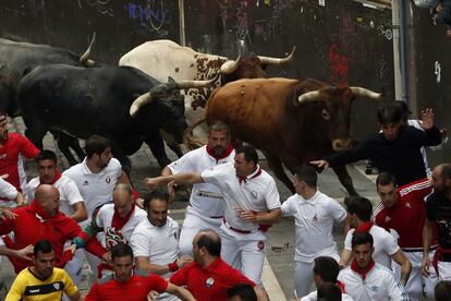 Los toros de la ganadería de Miura han protagonizado el último encierro de los Sanfermines 2016.