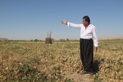 “Es increíble. Ahora los cultivos se mueren y 20 años atrás aquí plantábamos arroz”, exclama el agricultor recordando los tiempos en los que el elevado caudal del río permitía irrigar las tierras.