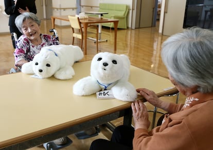 Dos robots Paro, diseñados para el estímulo de pacientes con demencia, alzhéimer en una residencia de mayores de Yokohama (Japón). 