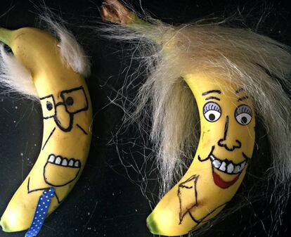 Las bananas de Hillary Clinton y Bernie Sanders.