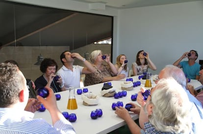 Curso de cata de aceite en la f&aacute;brica Luz de Alba, en Argamasilla de Alba.