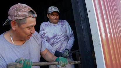 Dos trabajadores migrantes de Veracruz (México) trabajan en una granja en Kentucky, en marzo de 2024.