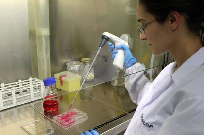 Microinyección de esperma en un óvulo para fecundarlo por técnica "in vitro" (FIV).