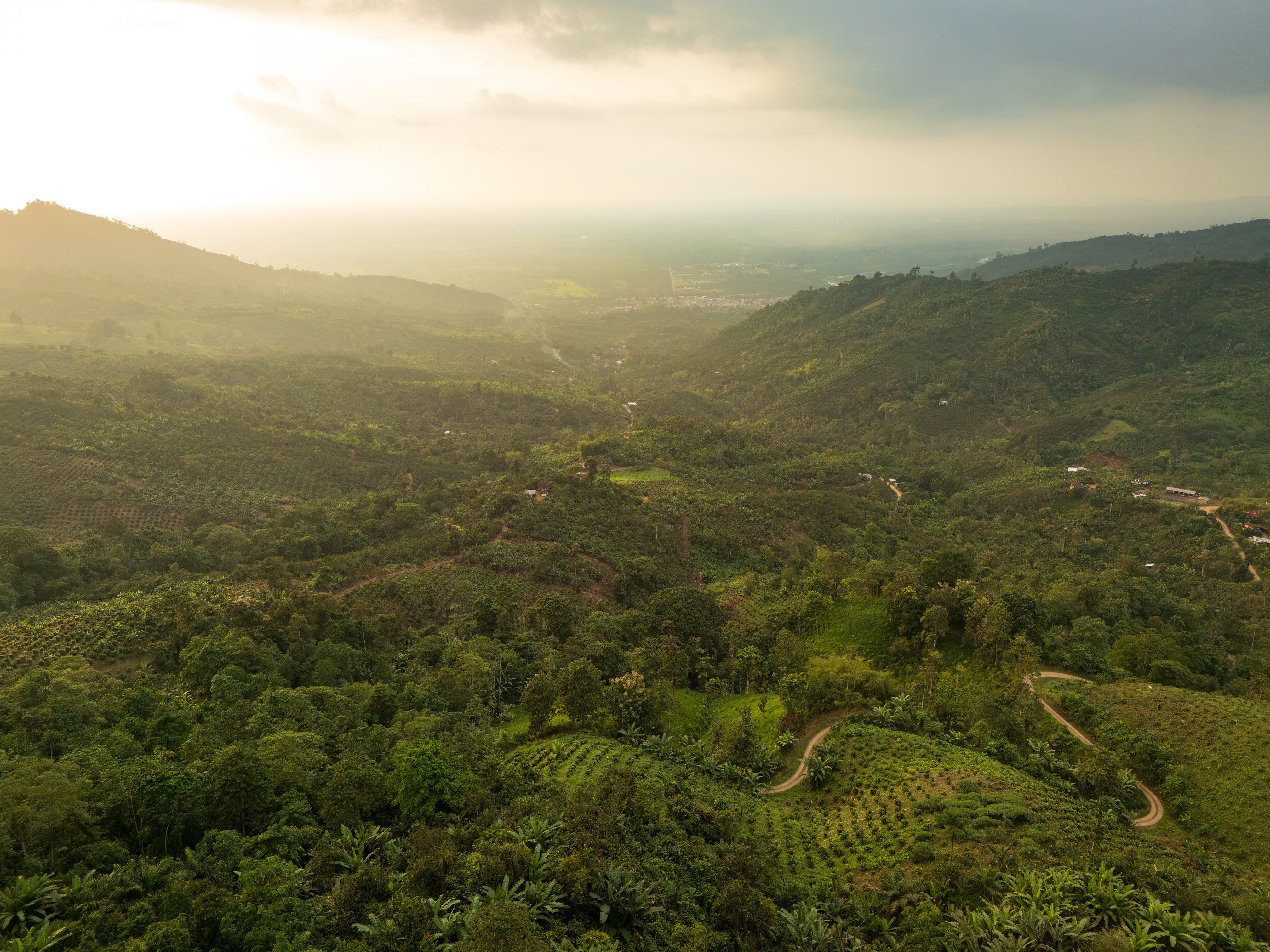 Vista de aérea de las tierras agrícolas en el recinto La Unión.