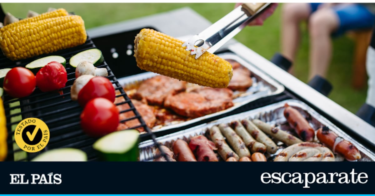 ¿Buscas la barbacoa perfecta? Hemos probado varios tipos y e