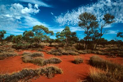 Gran desierto Victoria en Australia.