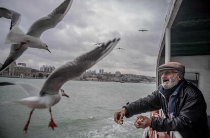 Un hombre alimenta a las gaviotas desde el barco con el que cambia de continente de Anatolia (Turquía) a Europa.