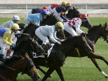Un momento de una de las carreras de caballos de ayer en el hipódromo madrileño de la Zarzuela.