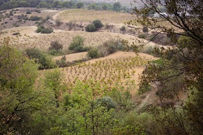 Este territorio situado al oeste de Barcelona es un hervidero de jóvenes que quieren dignificar la agricultura para vivir de ella.