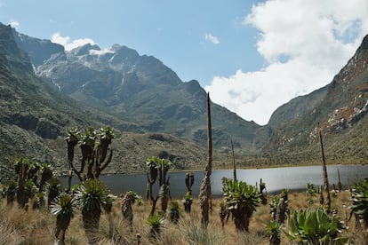 Vista general del lago Bujuku y al fondo el monte Stanley, en la cordillera de Rwenzori, en Uganda.