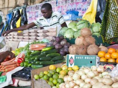 La Baixa, mercado municipal de Maputo (Mozambique). 