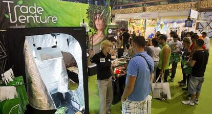 Un puesto en la feria de Spannabis Málaga del cannabis.