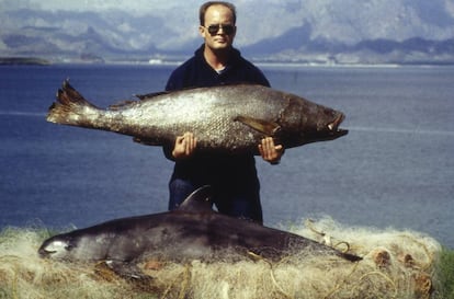 pez totoaba al lado de una vaquita marina