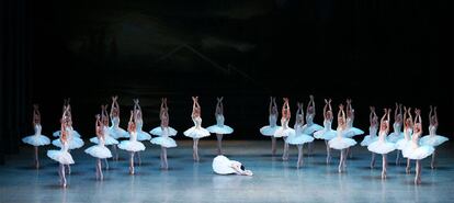 Representación de <i>El lago de los cisnes</i> en el Teatro Real.