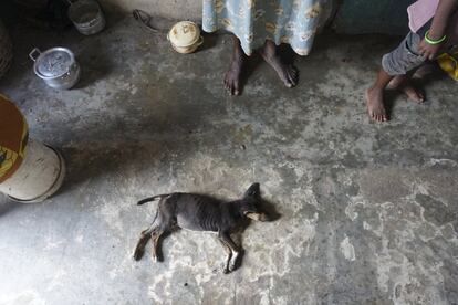 Imagen del interior de una vivienda típica en la aldea de pescadores de Nyanyano (Ghana). La mayoría de los hogares gastan alimentan a todos sus miembros con menos de 10 dólares semanales.