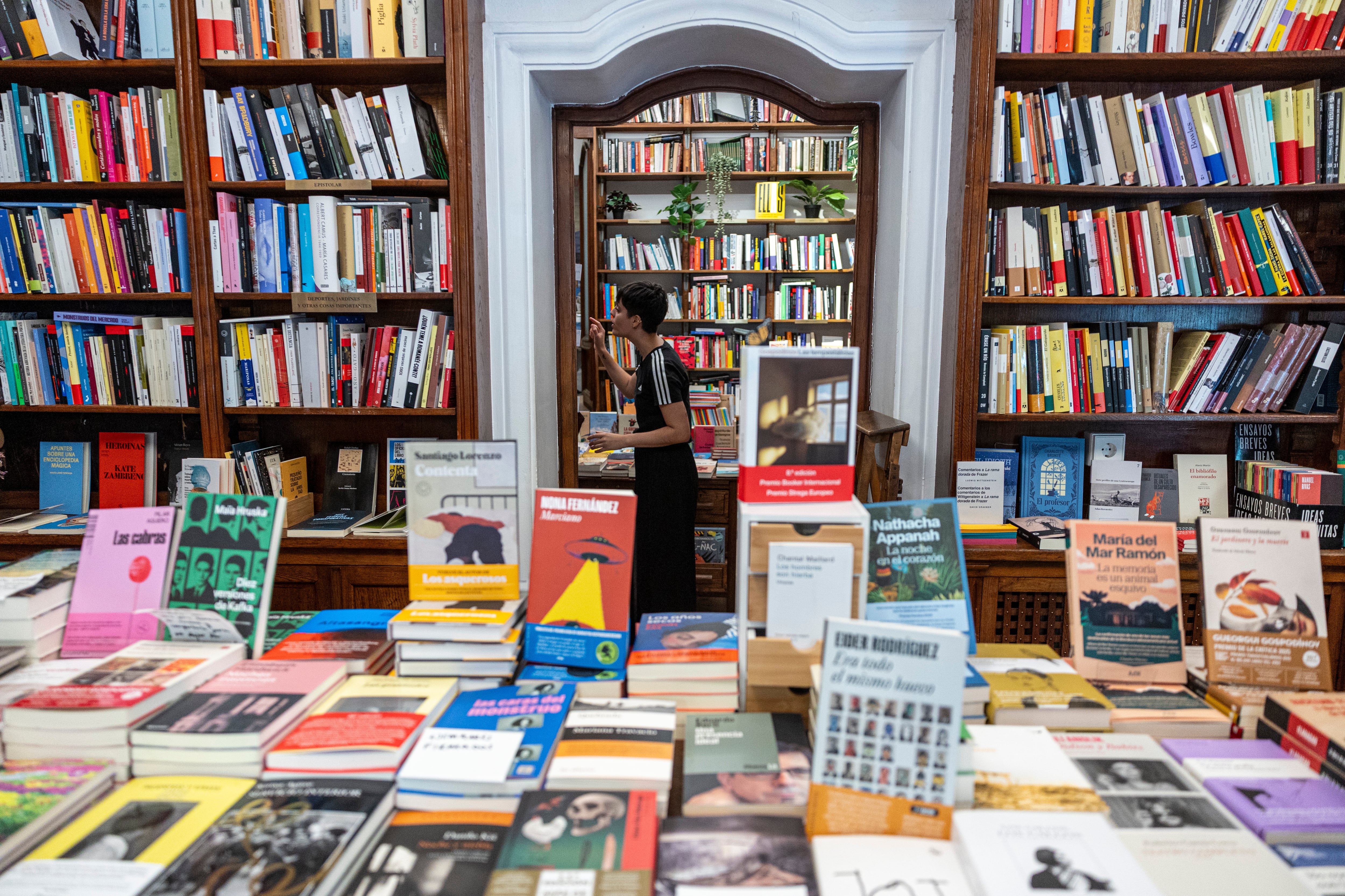 Las estanterías de novedades de la librería Pérgamo.