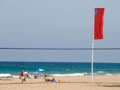 La bandera roja ondea entre El Campello y Torrevieja por la proliferación de las falsas medusas