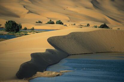 Dunas en el valle del Draa.