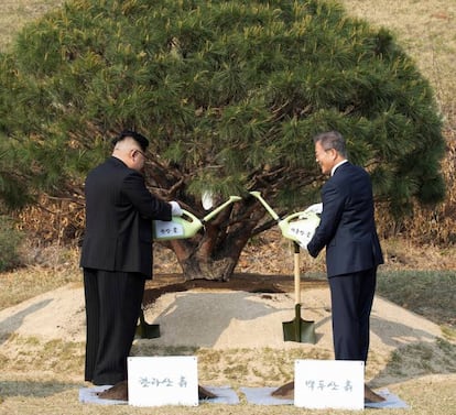 Kim Jong-un y el presidente surcoreano, Moon Jae-in plantan un árbol junto a una piedra en la que se puede leer