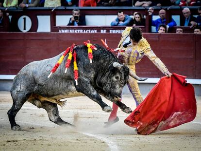 Ángel Sánchez torea al natural a sexto toro de José Escolar, el pasado 28 de mayo en Las Ventas.