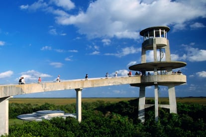 El observatorio de Shark Valley, en el parque nacional de Los Everglades.