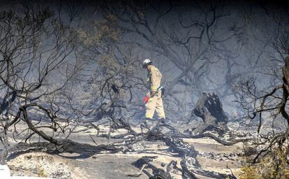 Un bombero revisa una zona calcinada en el parque de Cheltenham, en el sureste de Melbourne (Australia).