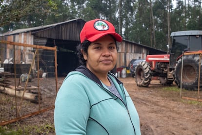 Roselei dos Santos Porto regresa por primera vez a su campo en Eldorado do Sul, el 1 de junio, 15 días después de las inundaciones.