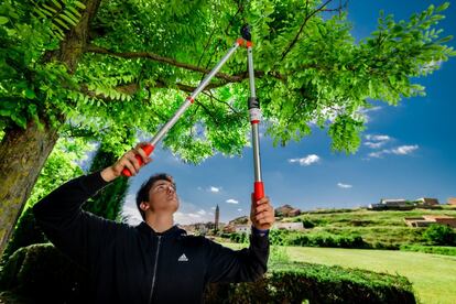 Billy Sacristán, integrante del Stellar, corta una rama de árbol en un jardín de Torrellas. Desde hace dos semanas, los circenses hacen labores de jardinería y limpieza como voluntarios.