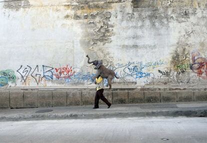 Un hombre camina con un elefante de juguete por una calle del centro de la Ciudad de Guatemala.