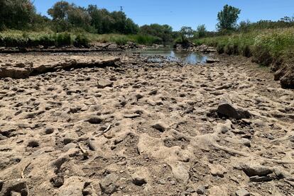 La sequía deja ver tramos del lecho del Guadiamar, el río que provee a Doñana.